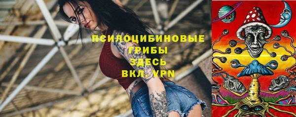 прущие крисы Алзамай