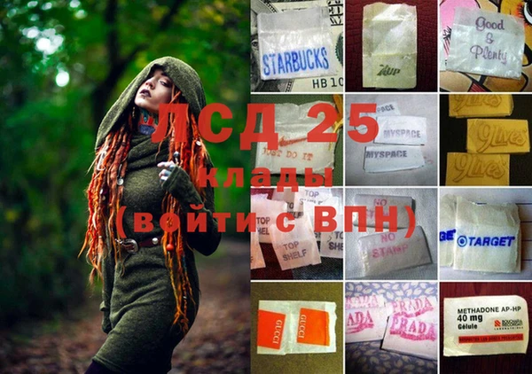 прущие крисы Алзамай
